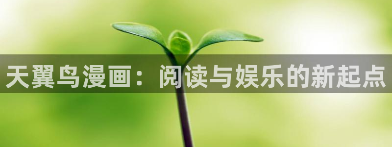 漫画漫画之家：天翼鸟漫画：阅读与娱乐的新起点