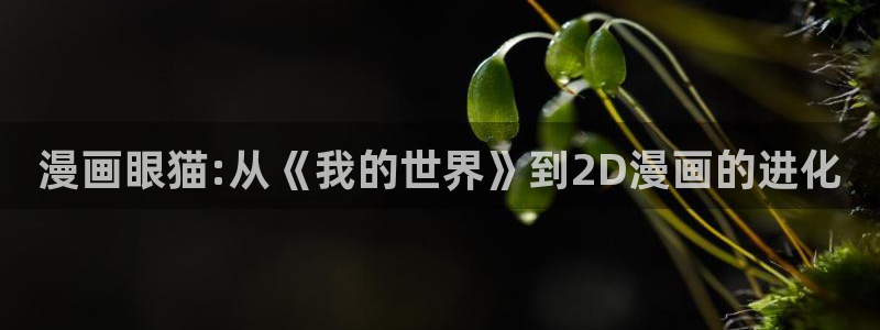 漫画之家下载：漫画眼猫:从《我的世界》到2D漫画的进化